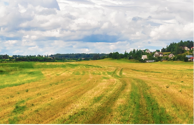 Survey says: This smell makes us feel relaxed and happy. Survey says: This smell makes us feel relaxed and happy.