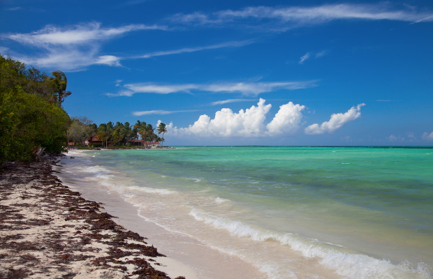 On the island of Jamaica, only 50% of residents can do this.