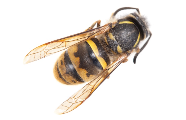 If this happens to you this summer, 50% will call it karma. If this happens to you this summer, 50% will call it karma.